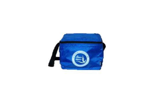 zeta phi beta duffle bag